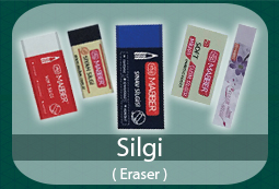 Silgi